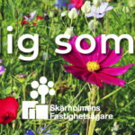 Trevlig sommar