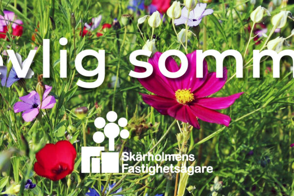 Trevlig sommar