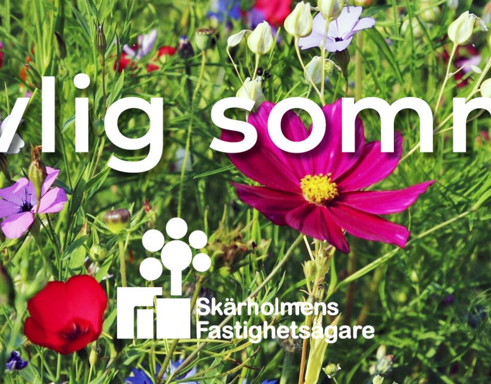 Trevlig sommar