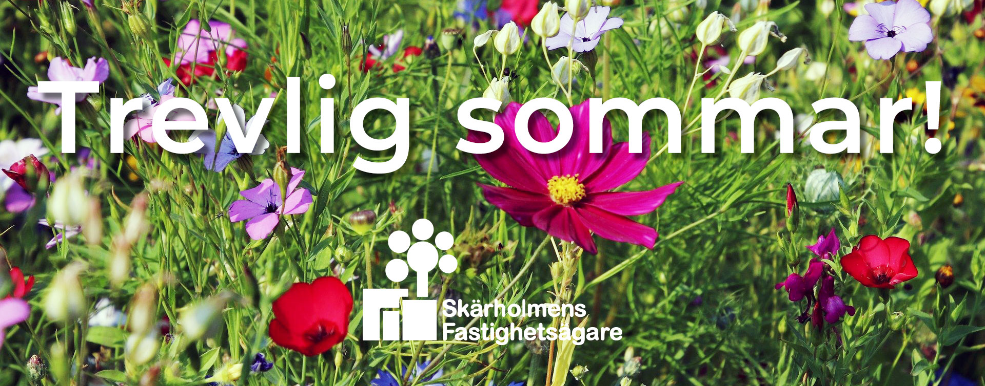 Trevlig sommar