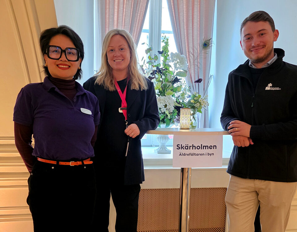 Yaowapa Karlsson, Johanna Lindström och Anton Johnsson
